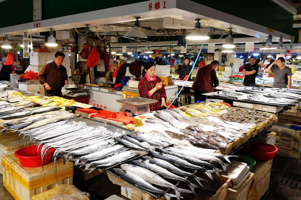 海鲜市场鲜活海鲜多得令人眼花缭乱 鲜活、野生、养殖、进口都有